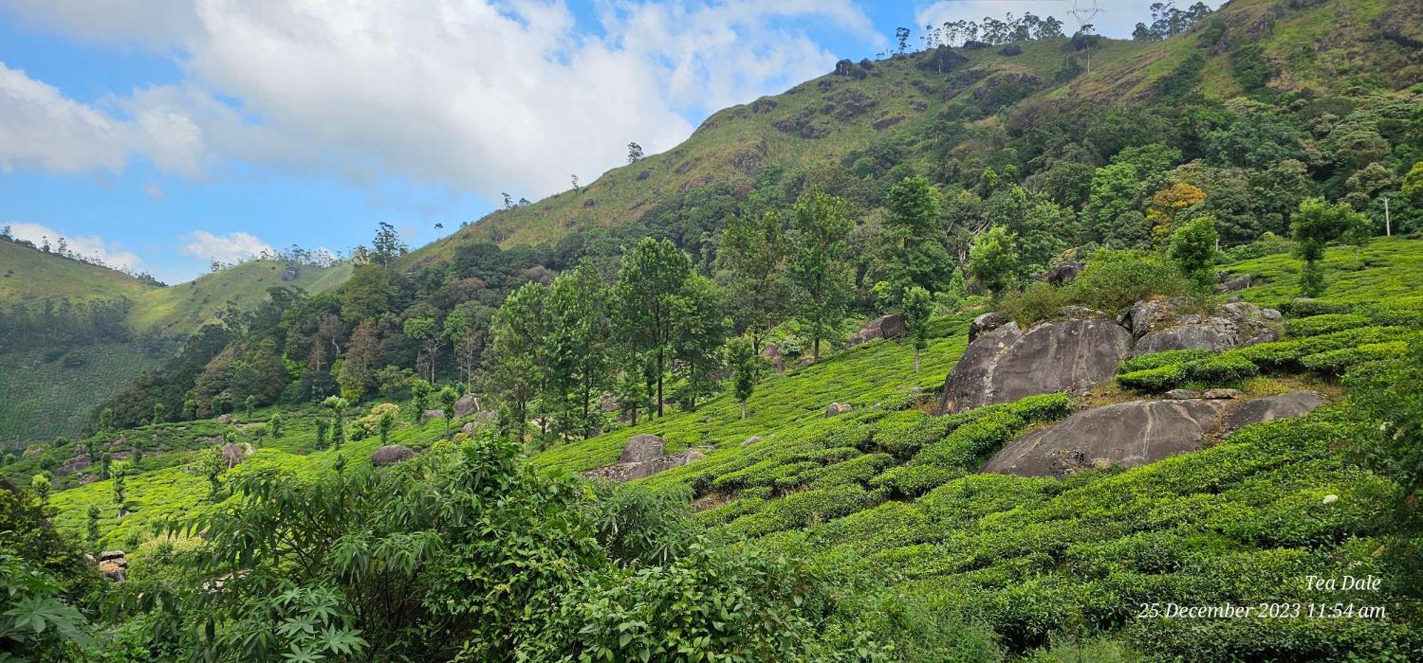 Tea Dale - All Rooms With Tea Estate View Munnar Exterior photo