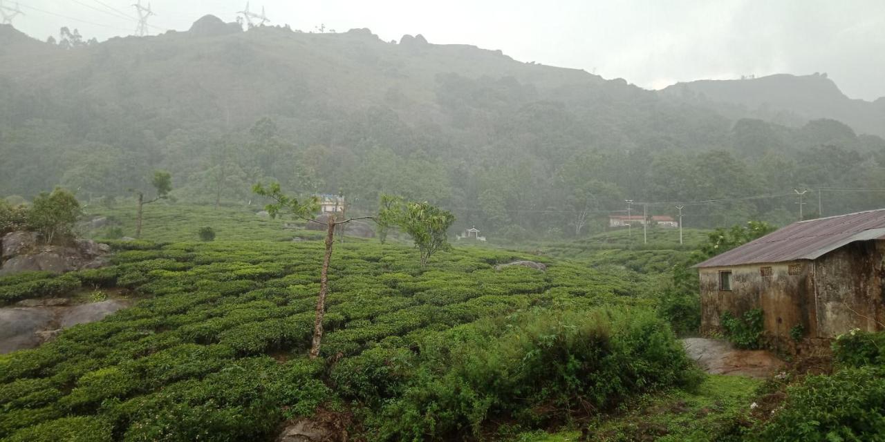 Tea Dale - All Rooms With Tea Estate View Munnar Exterior photo