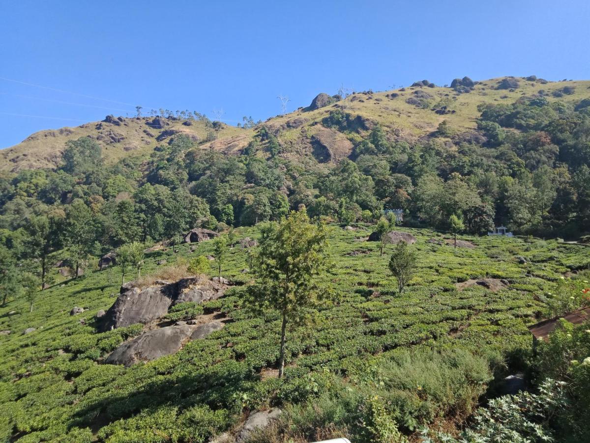 Tea Dale - All Rooms With Tea Estate View Munnar Exterior photo