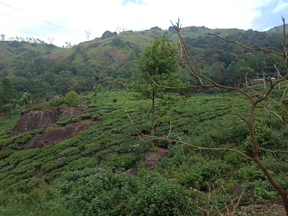 Tea Dale - All Rooms With Tea Estate View Munnar Exterior photo